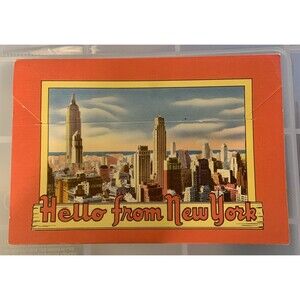 Souvenir of New York Vintage Fold out Portfolio